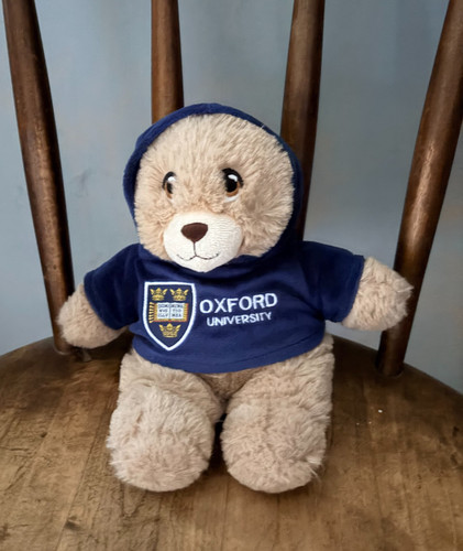 Oxford university 24cm - university,