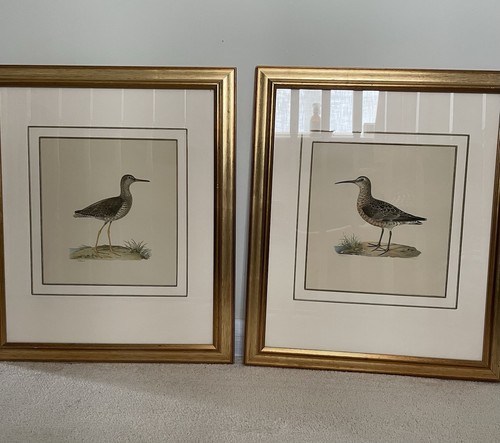 Pair framed swedish bird - of,