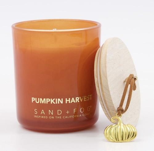 Sand fog pumpkin harvest - sand,