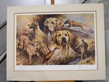 Mick Cawston - Labrador