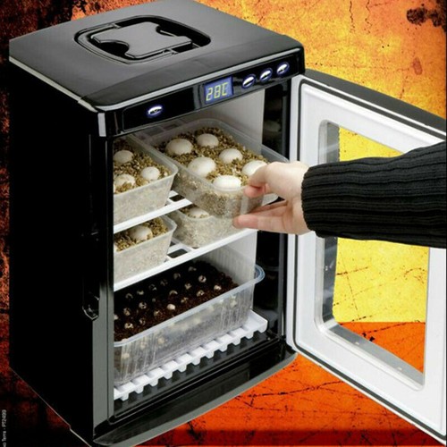 25l reptile incubator - reptile,