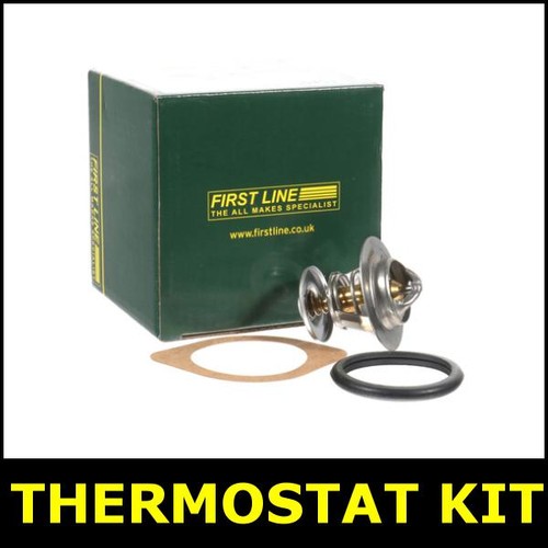 Thermostat kit fits - fits, ford