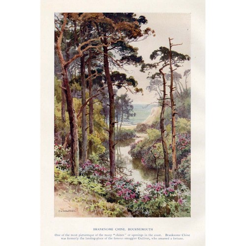 Bournemouth branksome chine - bournemouth,