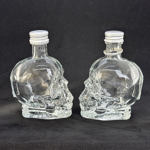 Dan aykroyds crystal head - 2,