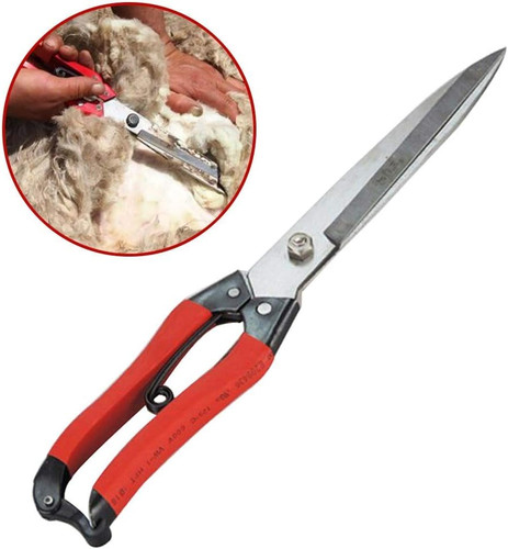 Sheep clippers wool - sheep, cutter