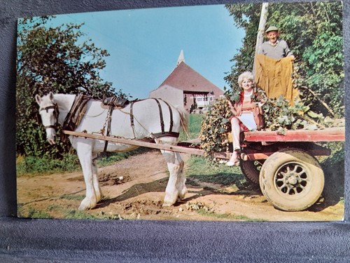 Hop picking horse - &, 36417