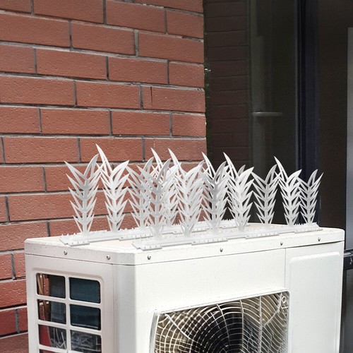 Bird spikes anti - anti, climb