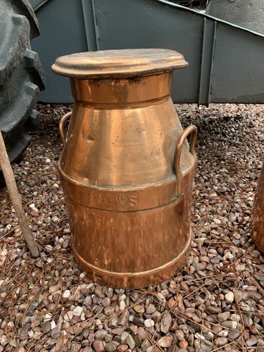 Antique copper gallon milk - 5,