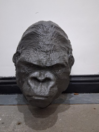 Gorilla death mask taxidermy - death,