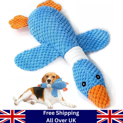 Pet dog chew toys - chew, calming