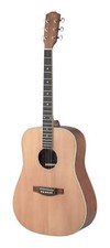J.N Guitars Acoustic Guitar