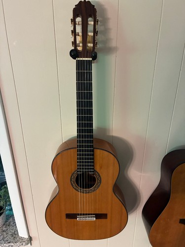 2001 amalio burguet estudio - amalio,