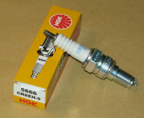 Spark plug ngk for - ngk, sh