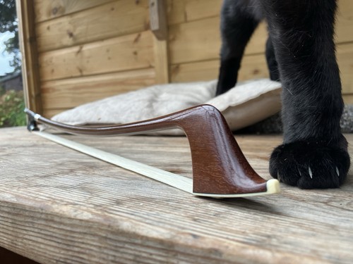 Double bass french bow erich - french,