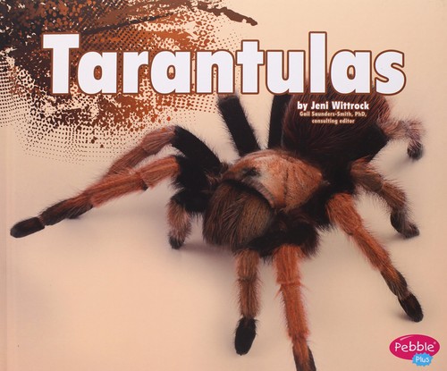 Tarantulas - (creepy, crawlers)