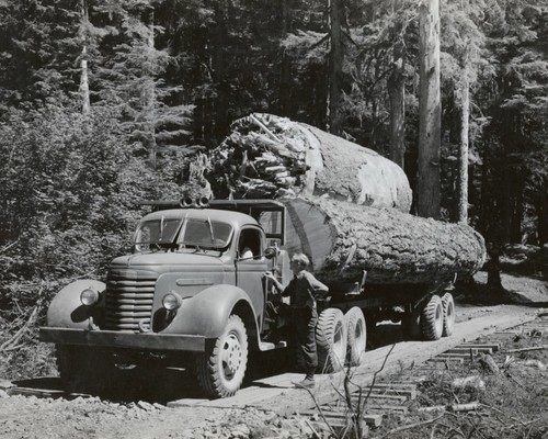 Gmc truck douglas - truck, fir
