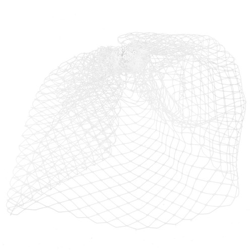 Birdcage veil wedding bride - birdcage,