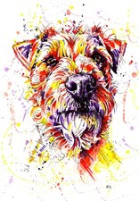 Border Terrier Art Print