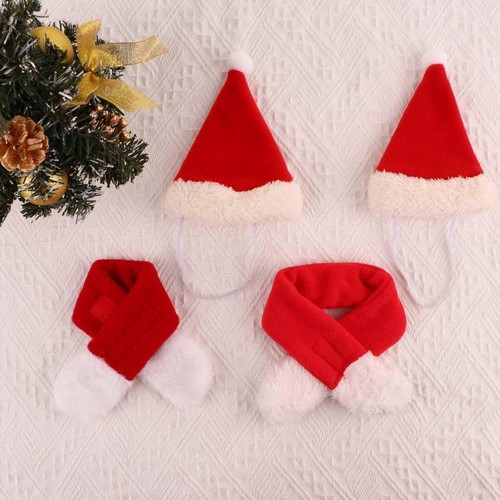 Pet christmas outfit - pet,