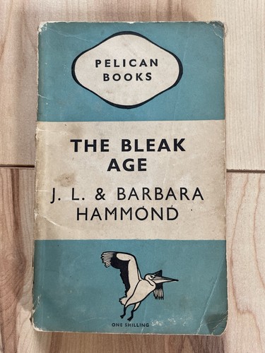 The bleak age - the,