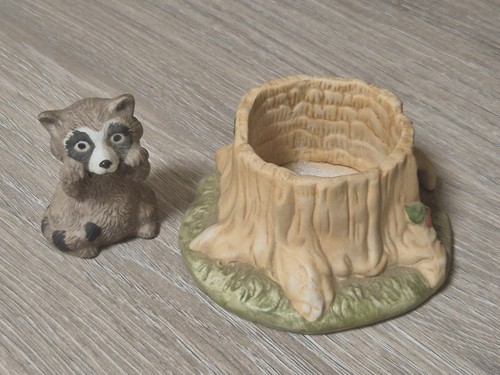 1984 woodland surprises racoon - 1984,