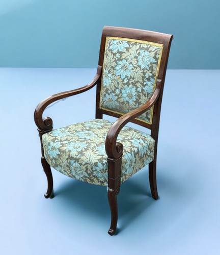 Regency mahogany country house - regency,