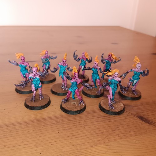 Hedonites slaanesh - hedonites, of