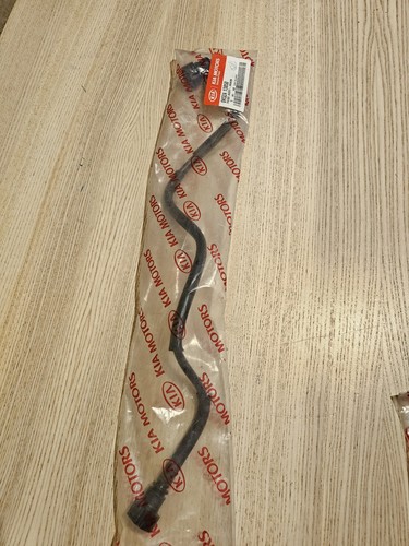 Genuine kia carnival main tube - kia,