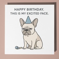French bulldog happy - french,