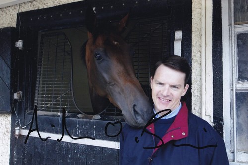 Horse racing aidan brien - horse,