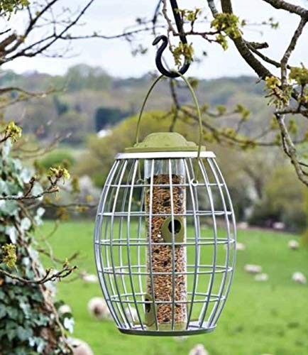 Caged squirrel proof bird - squirrel,
