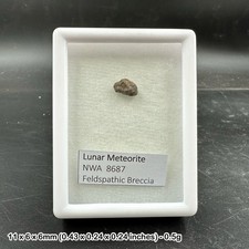 Genuine lunar nwa 8687 (2014)