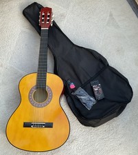 Acoustic Guitar And Carry Case