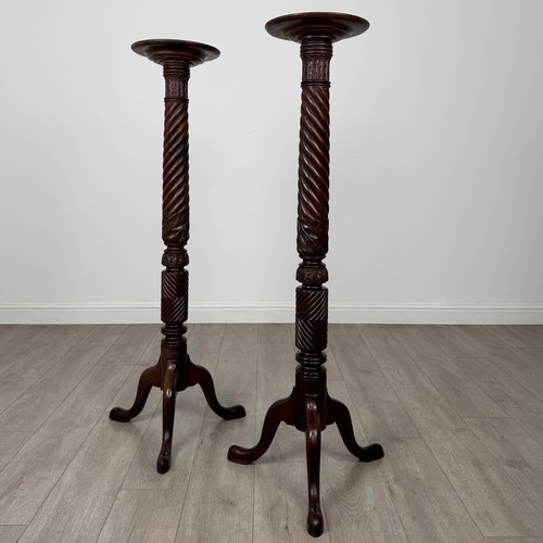 Antique 19th century - ,