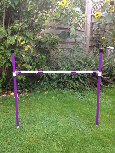 Dog agility basic - dog, 1x