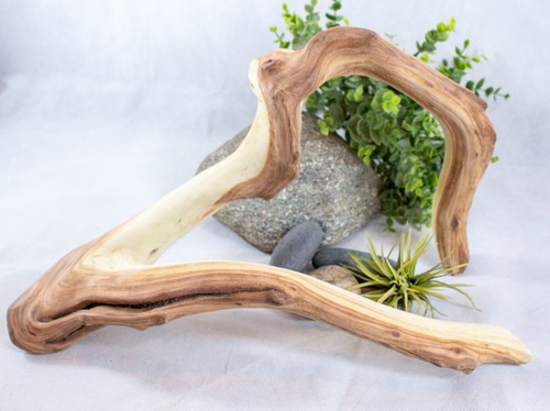 Large manzanita driftwood - 18",