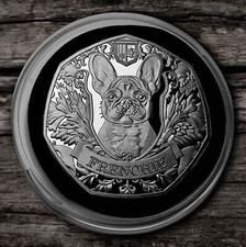 French bulldog silver - french,