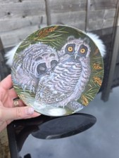 Wedgwood Collectors Plate LONG