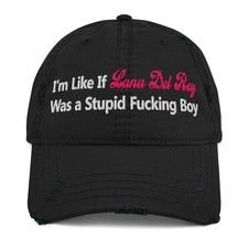 Stupid Lana Del Rey Boy Fan