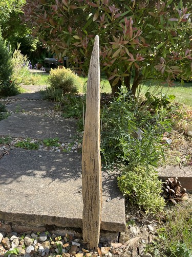 62cm long flat driftwood - long,