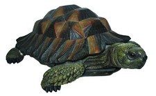 Vivid Arts Tortoise Home or