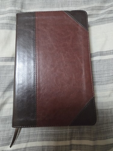 Esv student study - study, bible