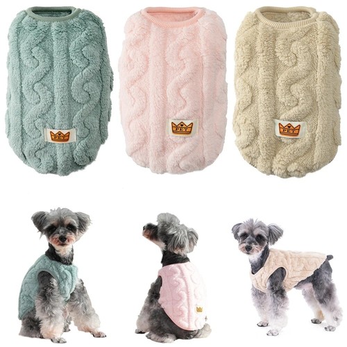 Pet dog cat - pet,