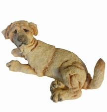 Yellow lab mini breed apart - a,
