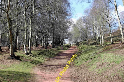Photo footpath bickerton - a2, to