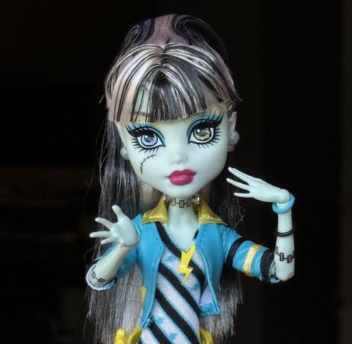 Monster high picture day - monster,