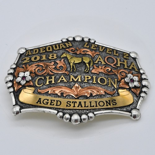 2018 aqha world - aqha,