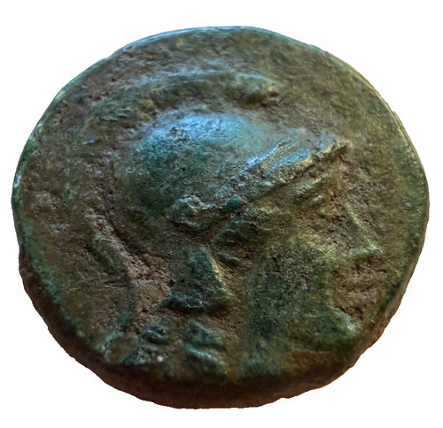 Seleucus callinicus ancient - seleucus, ii