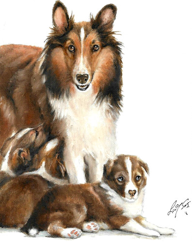 Original oil dog portrait - original,