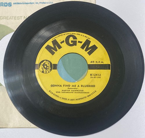 Marvin rainwater gonna find - marvin,